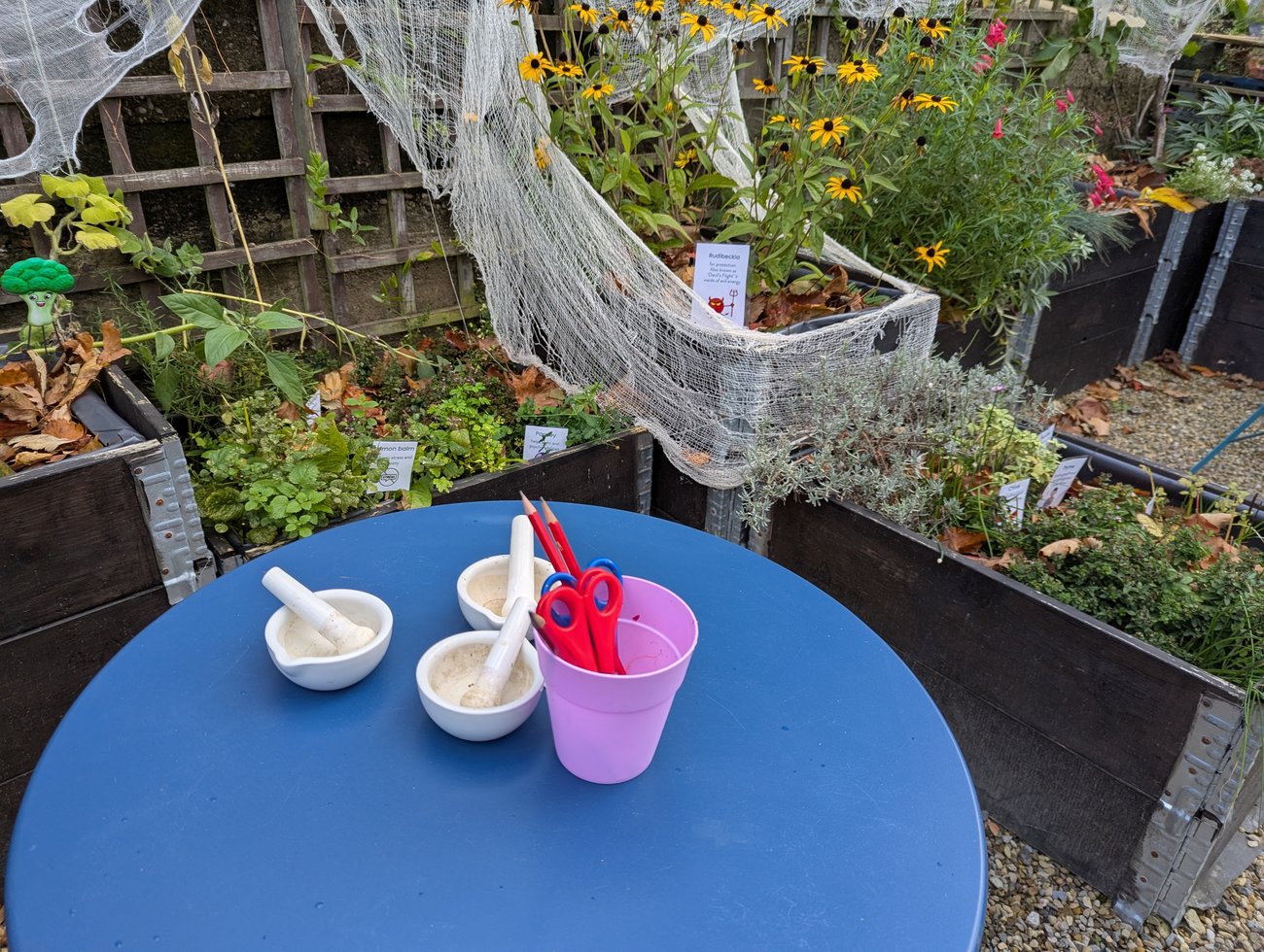 October Half Term in the Witches Garden