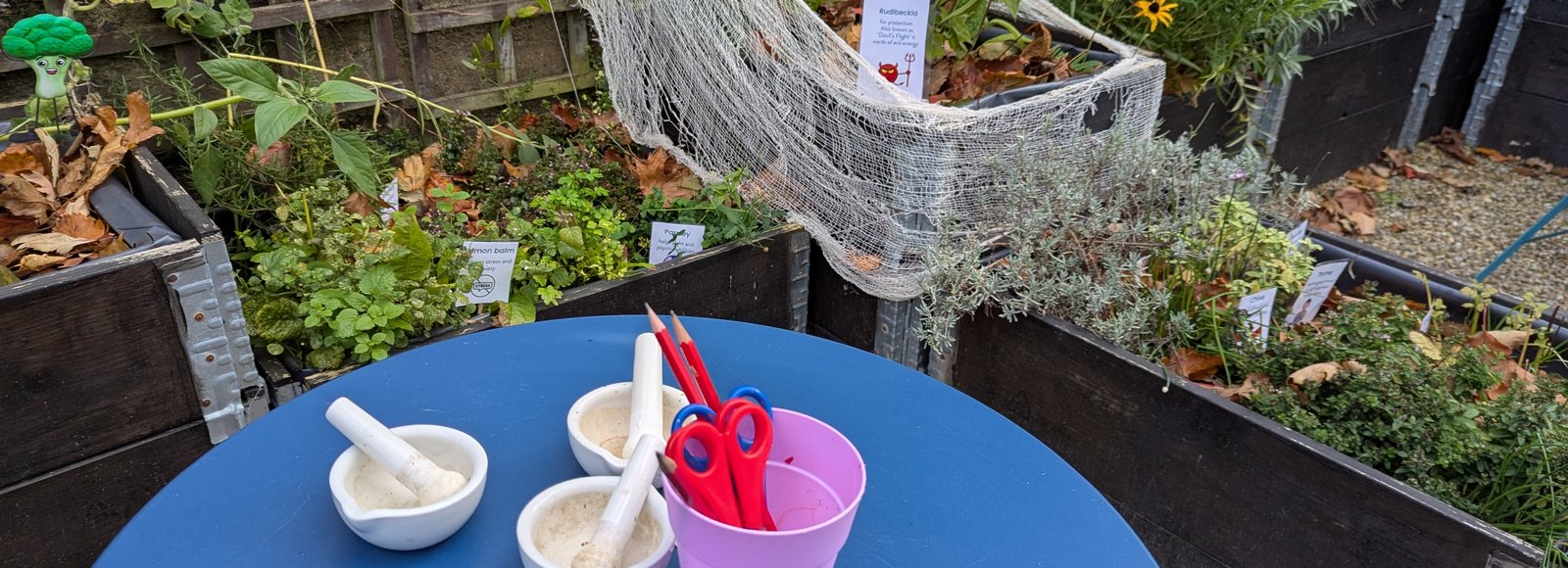 October Half Term in the Witches Garden