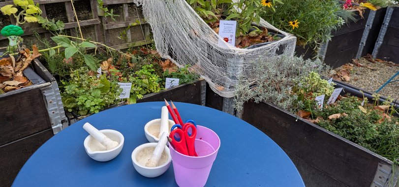 October Half Term in the Witches Garden